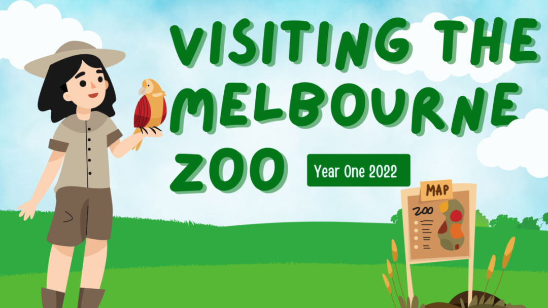 melbourne zoo school excursion