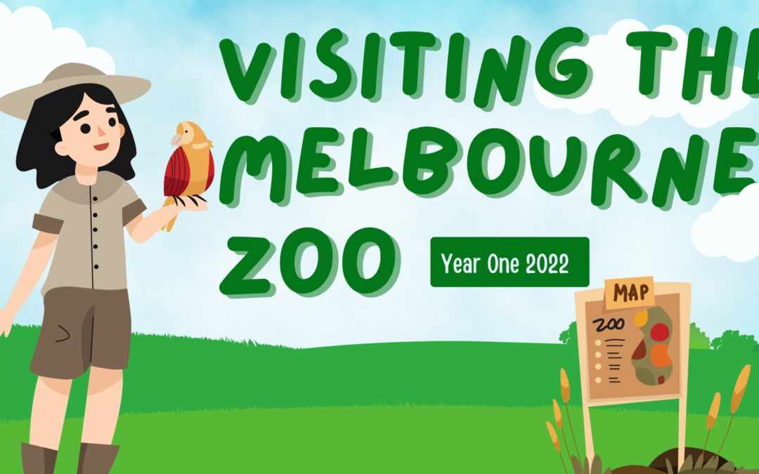 Year One Zoo Excursion